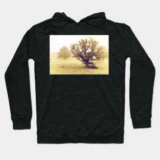 The Mighty Oak Hoodie